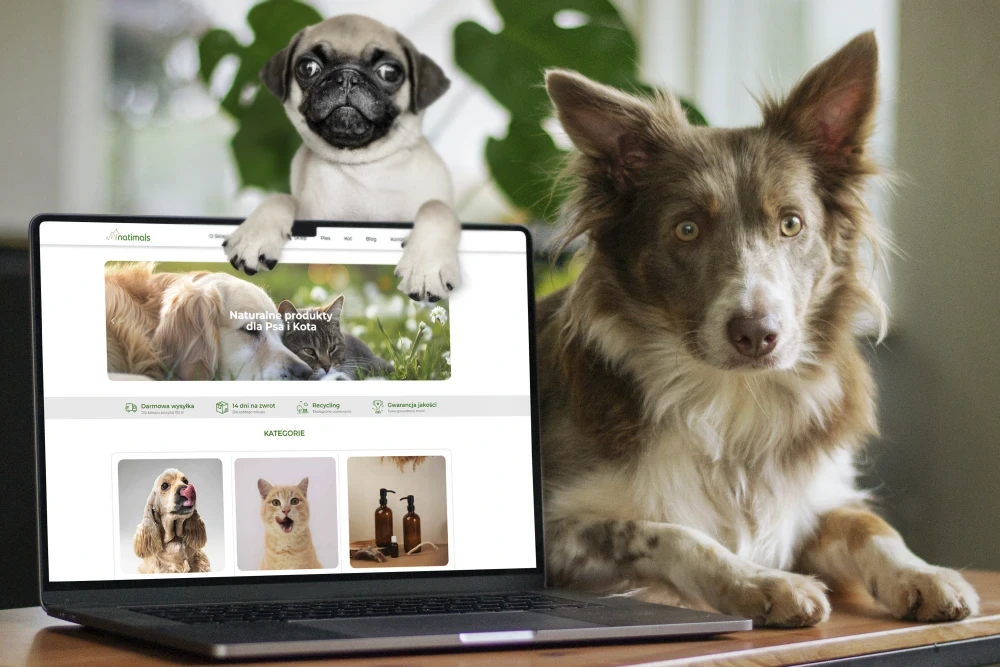 zoologiczny-sklep-internetowy-projekt